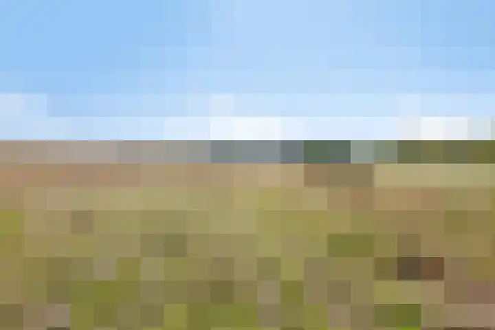 Van Rijckevorselweg 2 Vinkel thumbnail 126