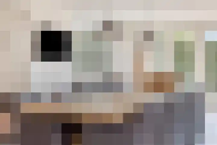 Van Rijckevorselweg 2 Vinkel thumbnail 17