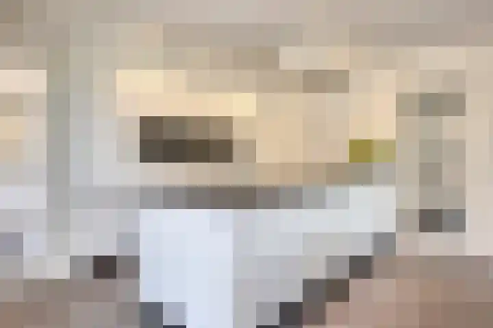 Van Rijckevorselweg 2 Vinkel thumbnail 18