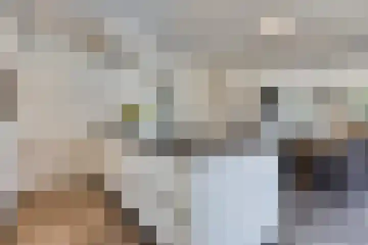 Van Rijckevorselweg 2 Vinkel thumbnail 21