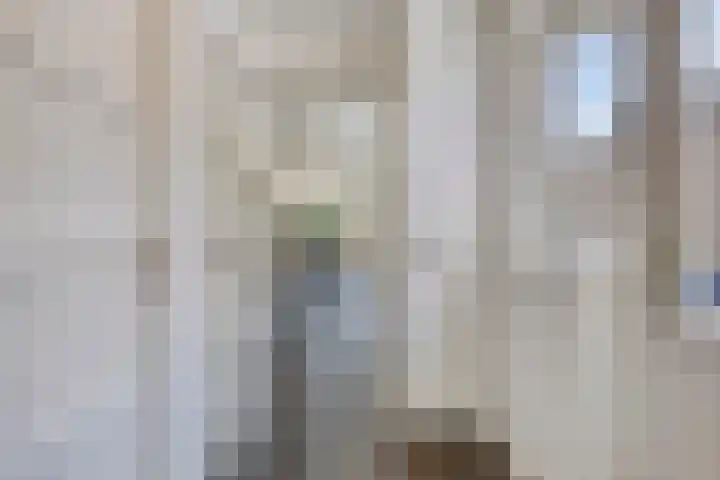 Van Rijckevorselweg 2 Vinkel thumbnail 27