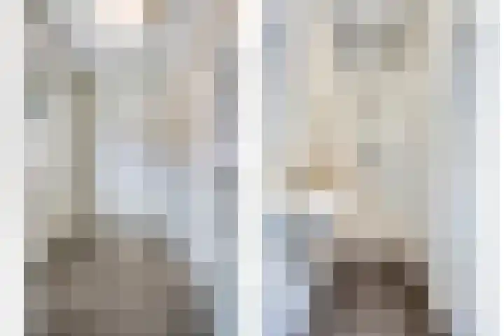 Van Rijckevorselweg 2 Vinkel thumbnail 28