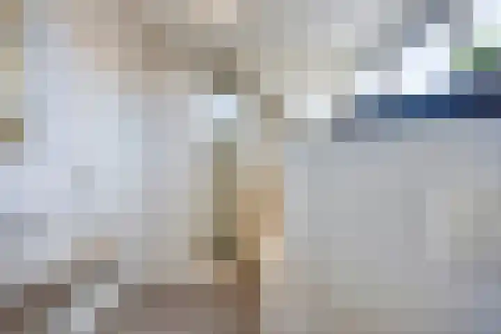 Van Rijckevorselweg 2 Vinkel thumbnail 34