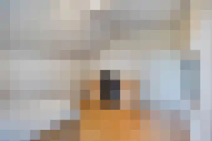 Van Rijckevorselweg 2 Vinkel thumbnail 37