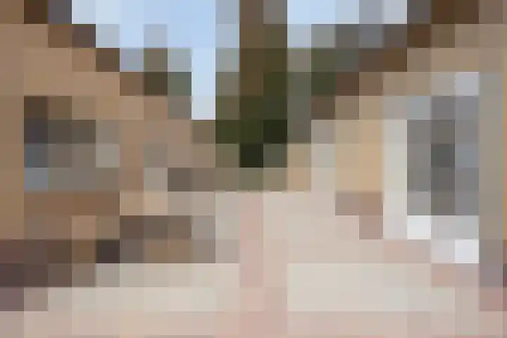 Van Rijckevorselweg 2 Vinkel thumbnail 43