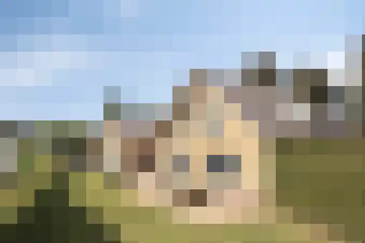 Van Rijckevorselweg 2 Vinkel thumbnail 45