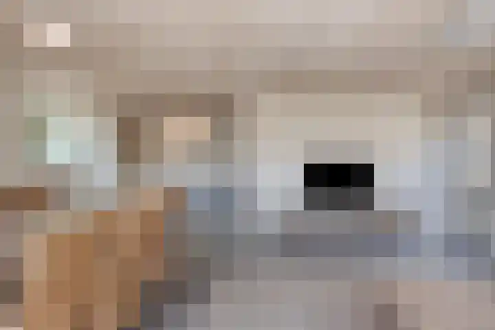 Van Rijckevorselweg 2 Vinkel thumbnail 48