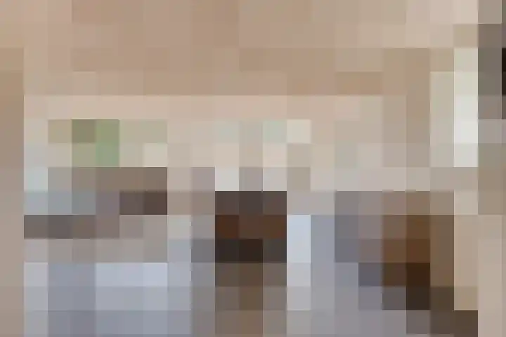 Van Rijckevorselweg 2 Vinkel thumbnail 52