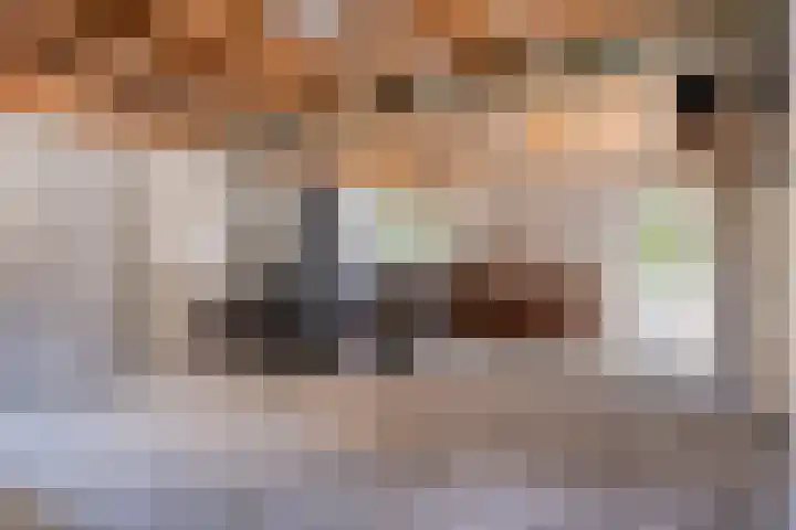 Van Rijckevorselweg 2 Vinkel thumbnail 54