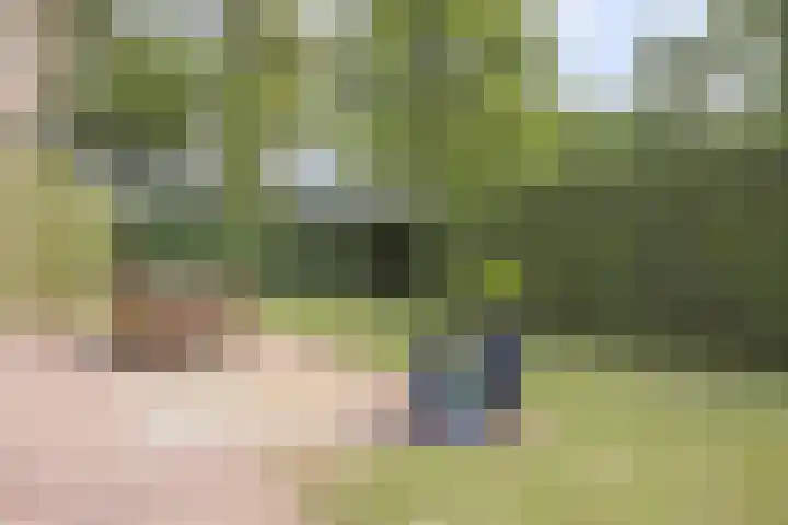 Van Rijckevorselweg 2 Vinkel thumbnail 57