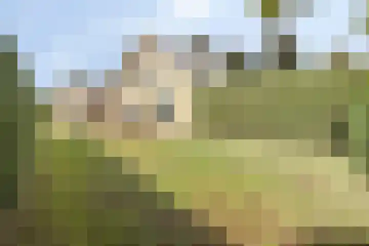 Van Rijckevorselweg 2 Vinkel thumbnail 58