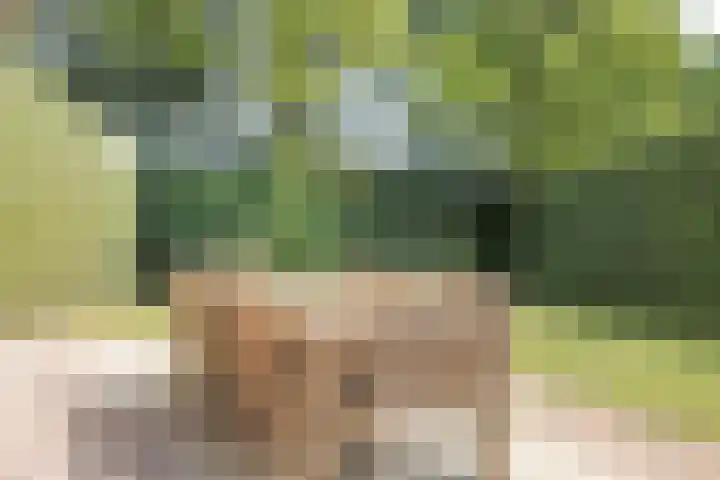 Van Rijckevorselweg 2 Vinkel thumbnail 60