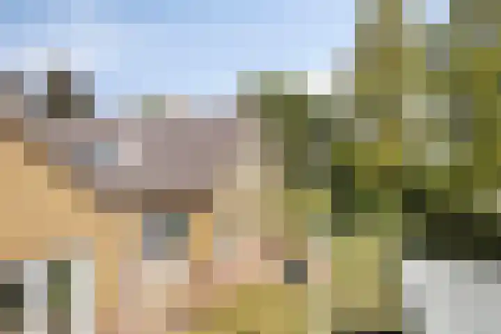 Van Rijckevorselweg 2 Vinkel thumbnail 62