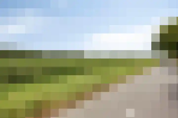 Van Rijckevorselweg 2 Vinkel thumbnail 63