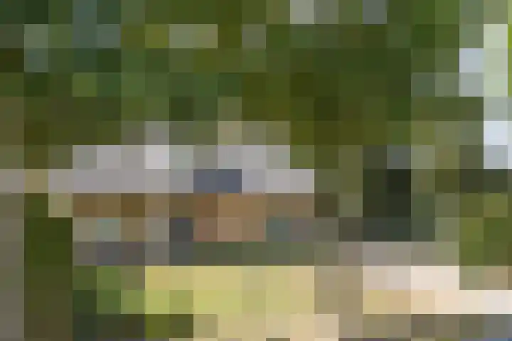 Van Rijckevorselweg 2 Vinkel thumbnail 64
