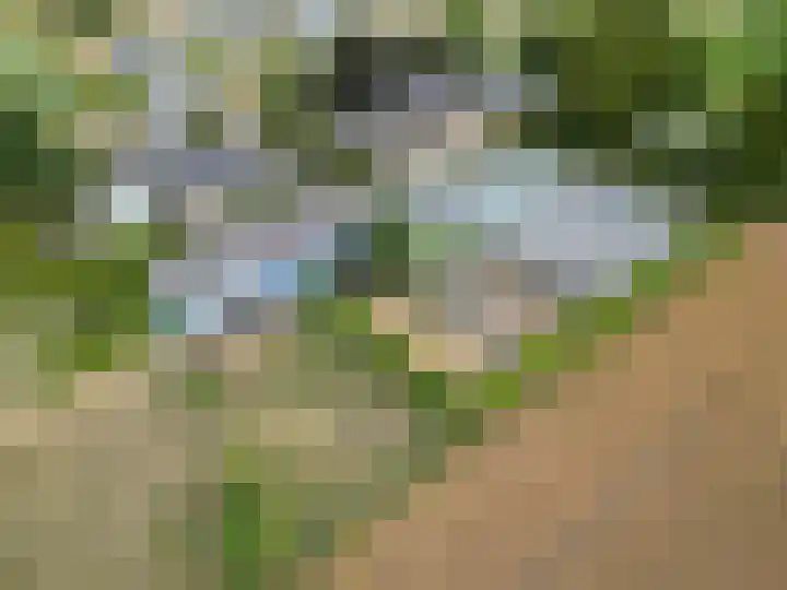 Van Rijckevorselweg 2 Vinkel thumbnail 69