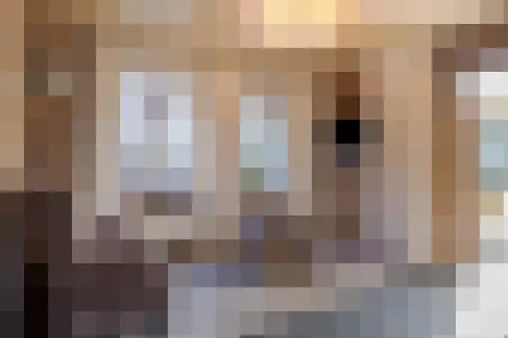 Van Rijckevorselweg 2 Vinkel thumbnail 73