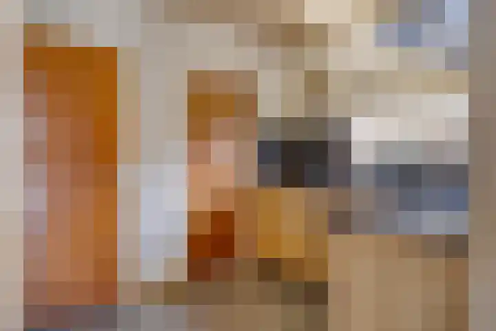 Van Rijckevorselweg 2 Vinkel thumbnail 78