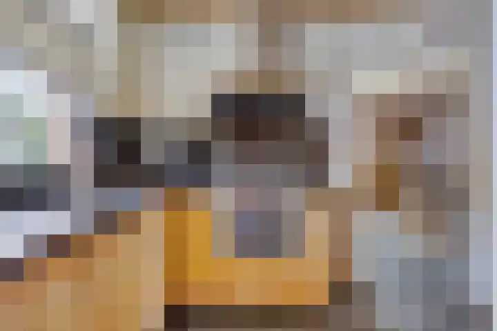 Van Rijckevorselweg 2 Vinkel thumbnail 80