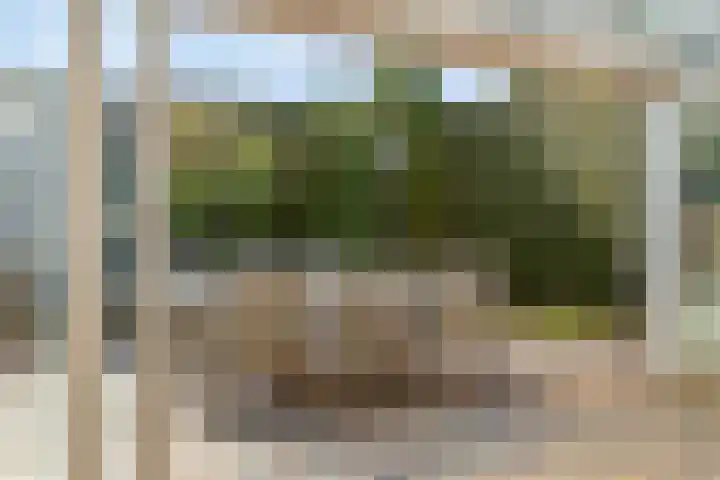 Van Rijckevorselweg 2 Vinkel thumbnail 84