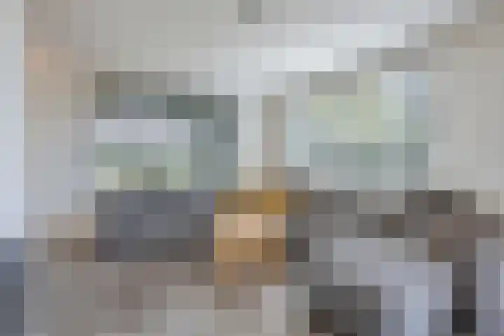 Van Rijckevorselweg 2 Vinkel thumbnail 9