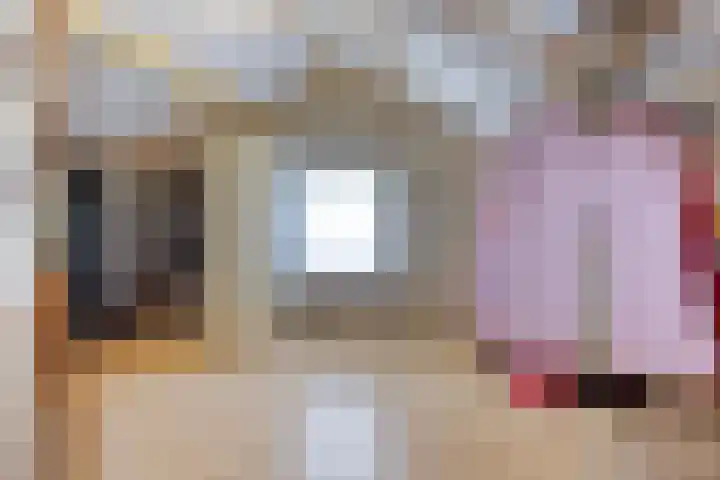 Van Rijckevorselweg 2 Vinkel thumbnail 99