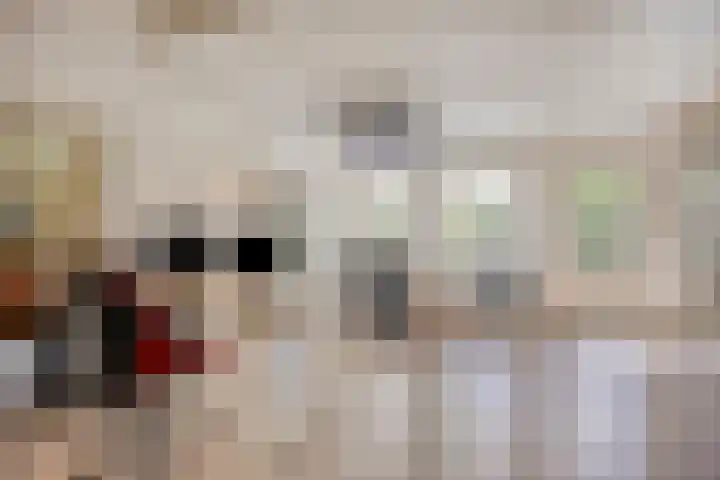 Van Rijckevorselweg 20 B Vinkel thumbnail 36