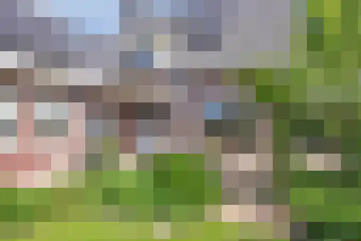 Van Rijckevorselweg 20 B Vinkel thumbnail 5