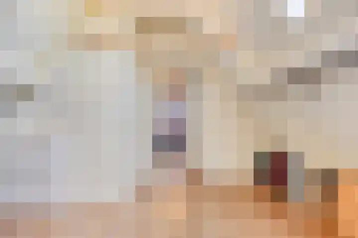 Van Rijckevorselweg 20 B Vinkel thumbnail 50
