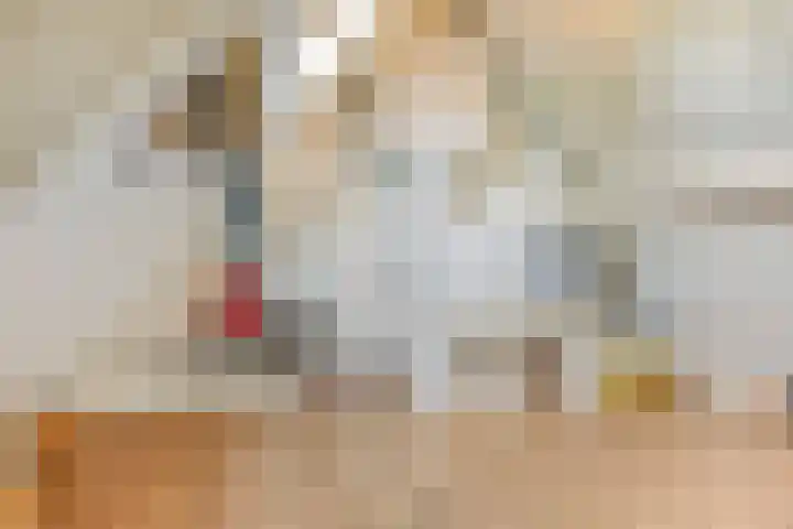 Van Rijckevorselweg 20 B Vinkel thumbnail 51