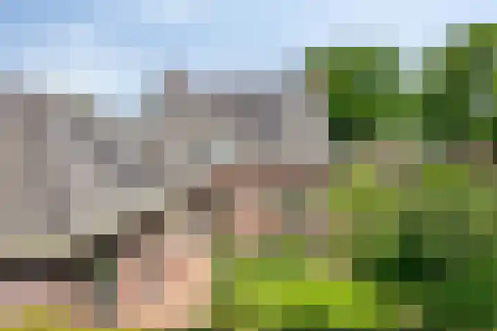 Van Rijckevorselweg 20 B Vinkel thumbnail 56