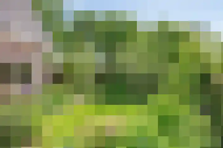 Van Rijckevorselweg 20 B Vinkel thumbnail 58