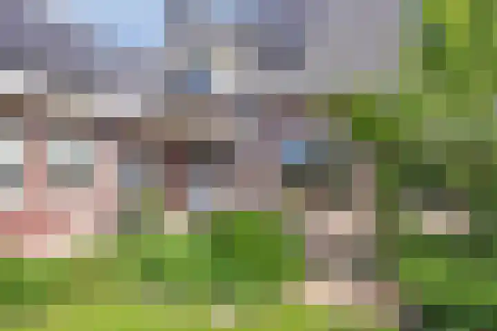 Van Rijckevorselweg 20 B Vinkel thumbnail 59