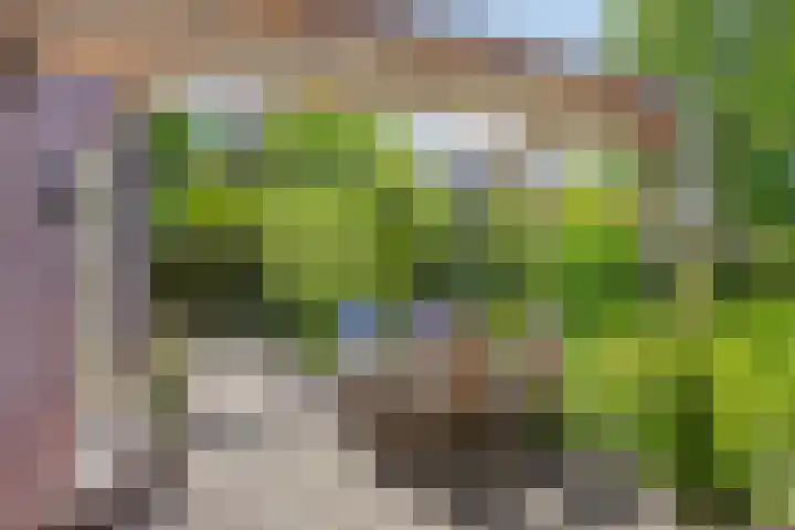 Van Rijckevorselweg 20 B Vinkel thumbnail 62
