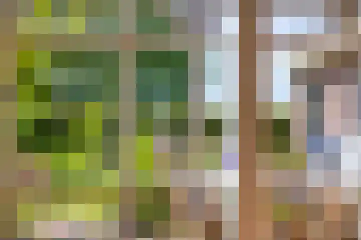 Van Rijckevorselweg 20 B Vinkel thumbnail 66