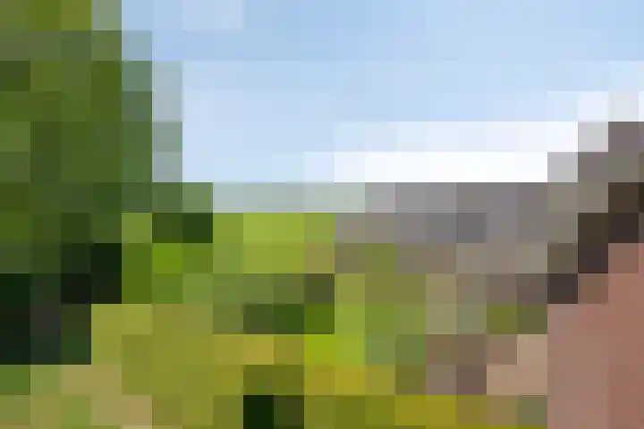 Van Rijckevorselweg 20 B Vinkel thumbnail 69