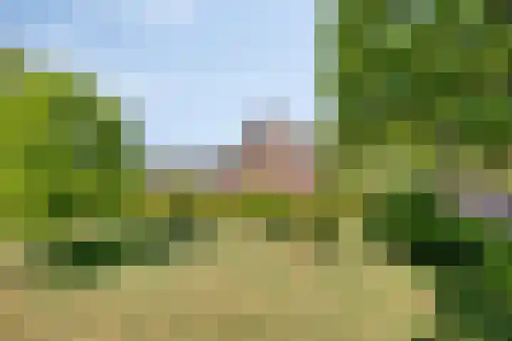 Van Rijckevorselweg 20 B Vinkel thumbnail 70