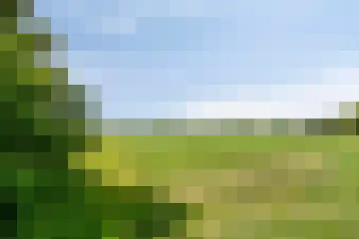 Van Rijckevorselweg 20 B Vinkel thumbnail 71