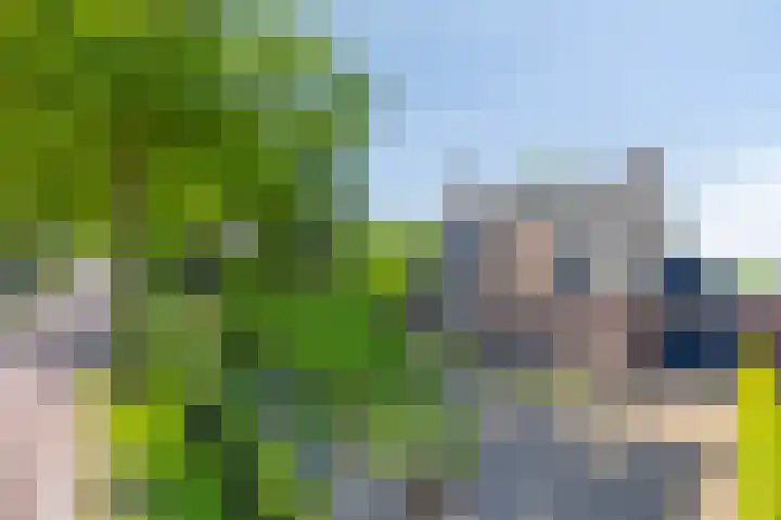 Van Rijckevorselweg 20 B Vinkel thumbnail 76