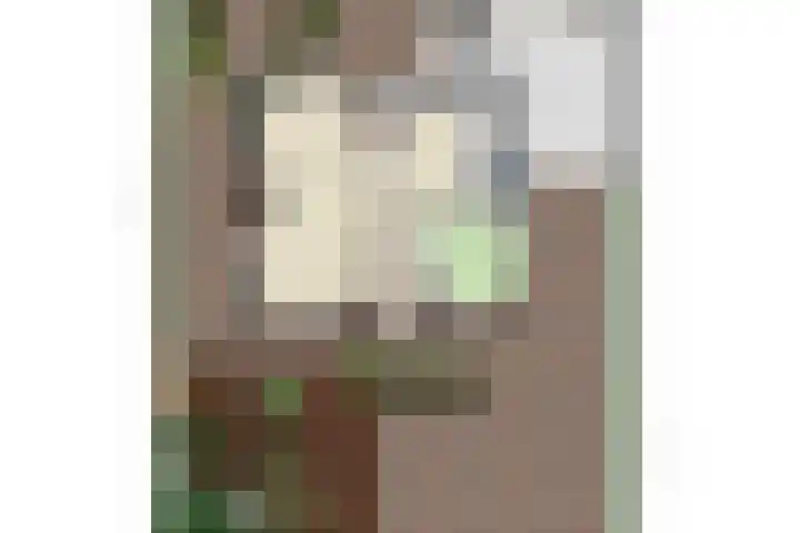 Van Rijckevorselweg 20 B Vinkel thumbnail 79