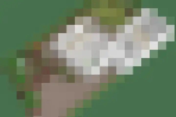 Van Rijckevorselweg 20 B Vinkel thumbnail 80