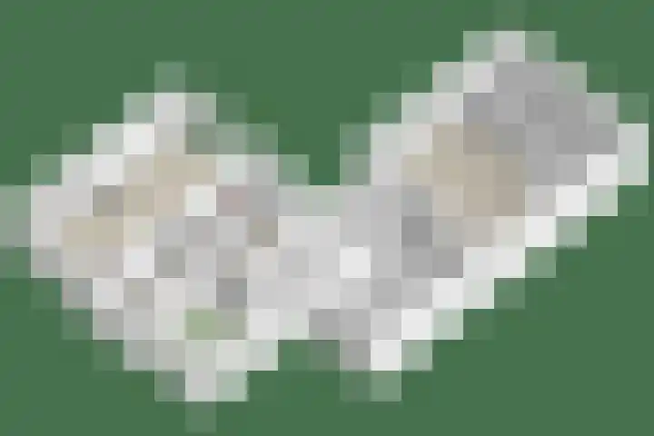 Van Rijckevorselweg 20 B Vinkel thumbnail 82