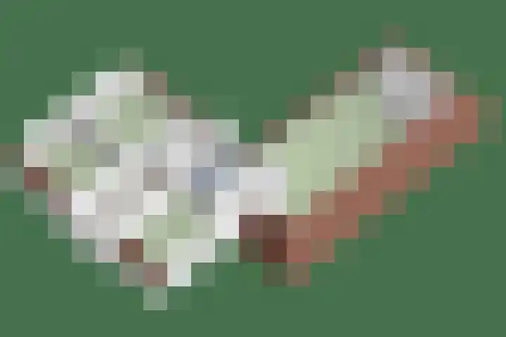 Van Rijckevorselweg 20 B Vinkel thumbnail 84