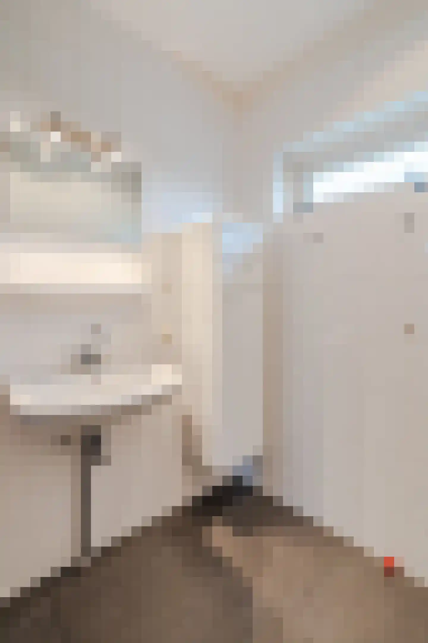 Van Rijnesteinlaan 11 Renswoude thumbnail 22