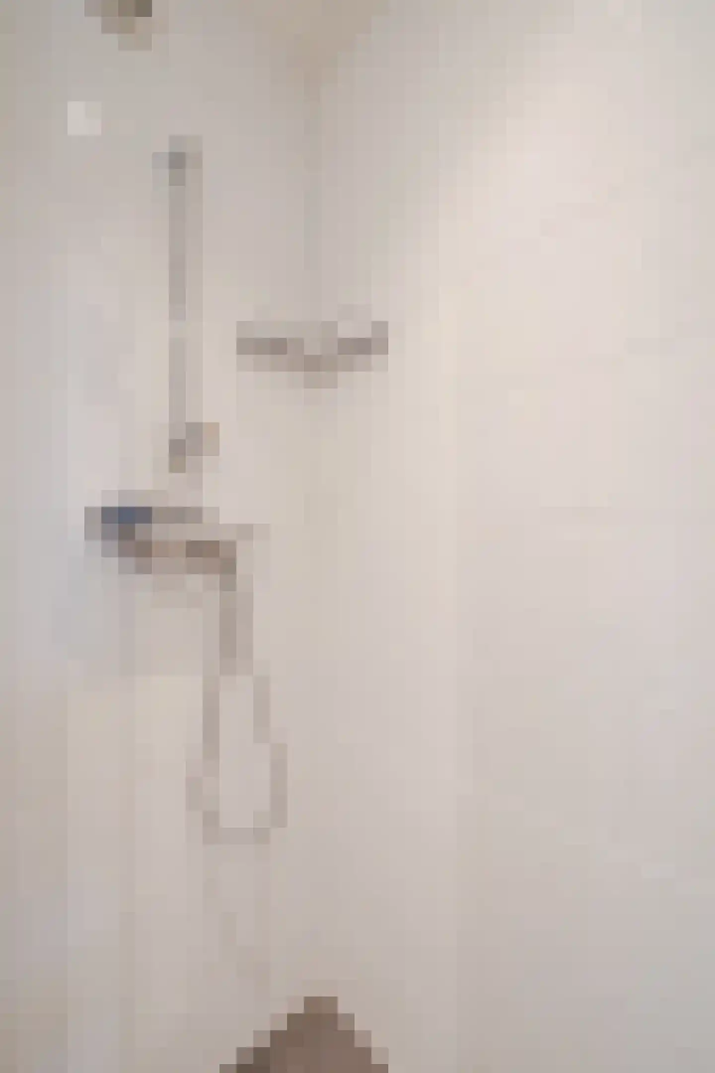 Van Rijnesteinlaan 11 Renswoude thumbnail 26