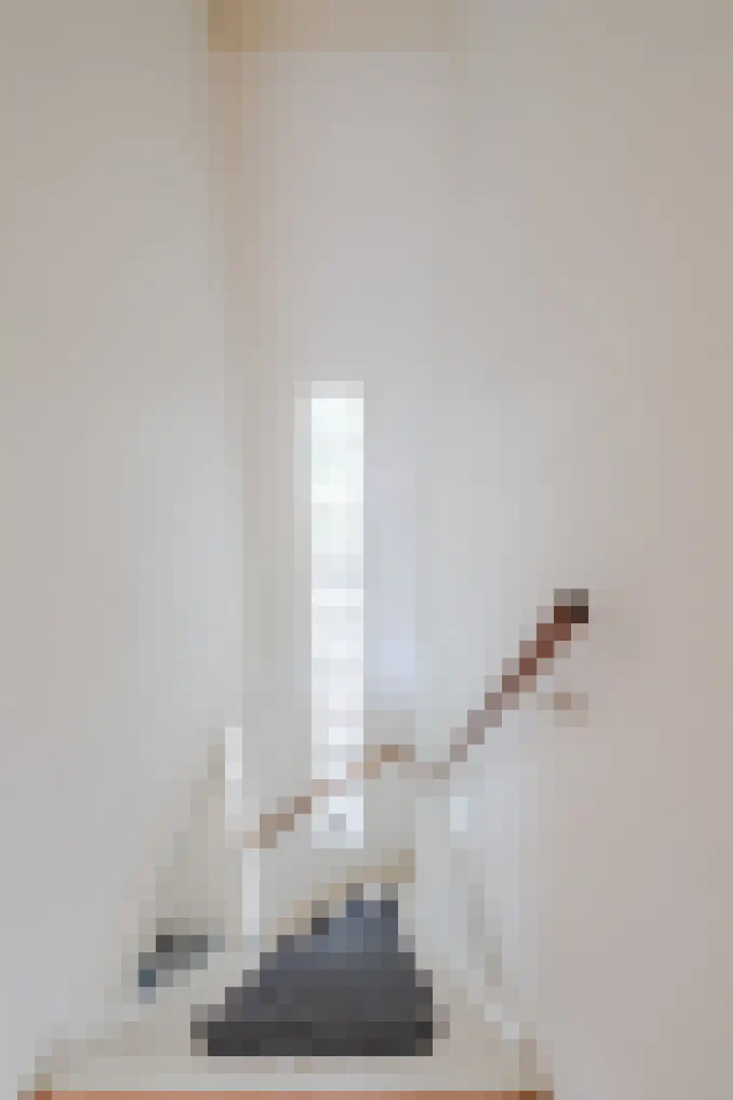 Van Rijnesteinlaan 11 Renswoude thumbnail 30