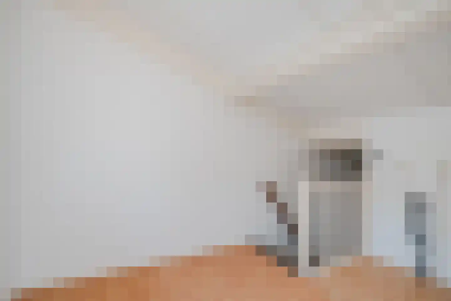 Van Rijnesteinlaan 11 Renswoude thumbnail 32