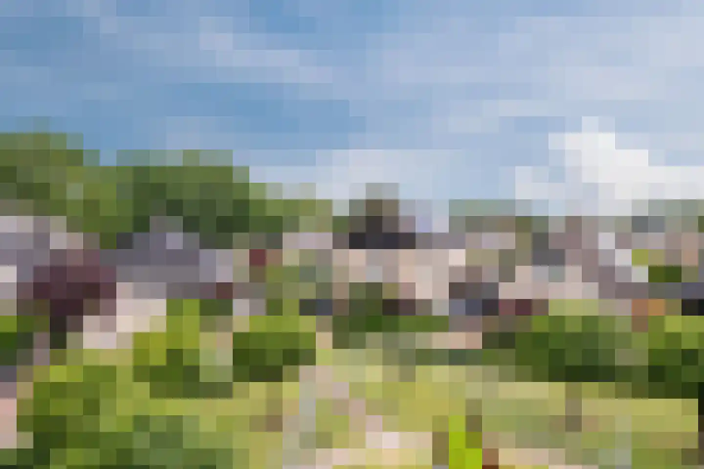 Van Rijnesteinlaan 11 Renswoude thumbnail 38