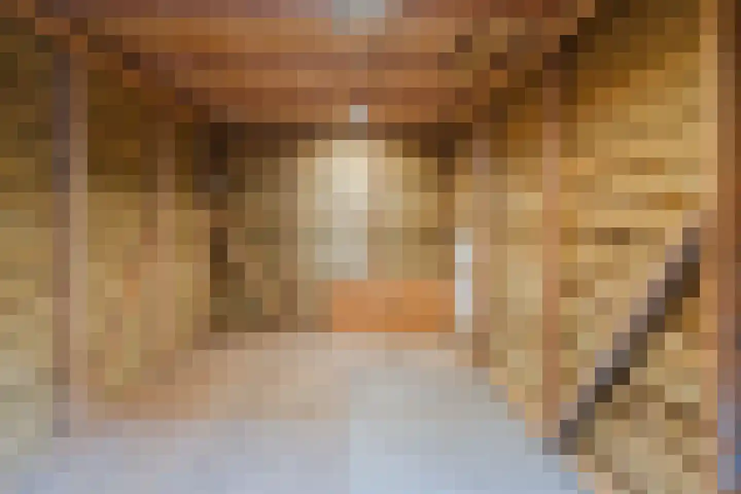 Van Rijnesteinlaan 11 Renswoude thumbnail 44