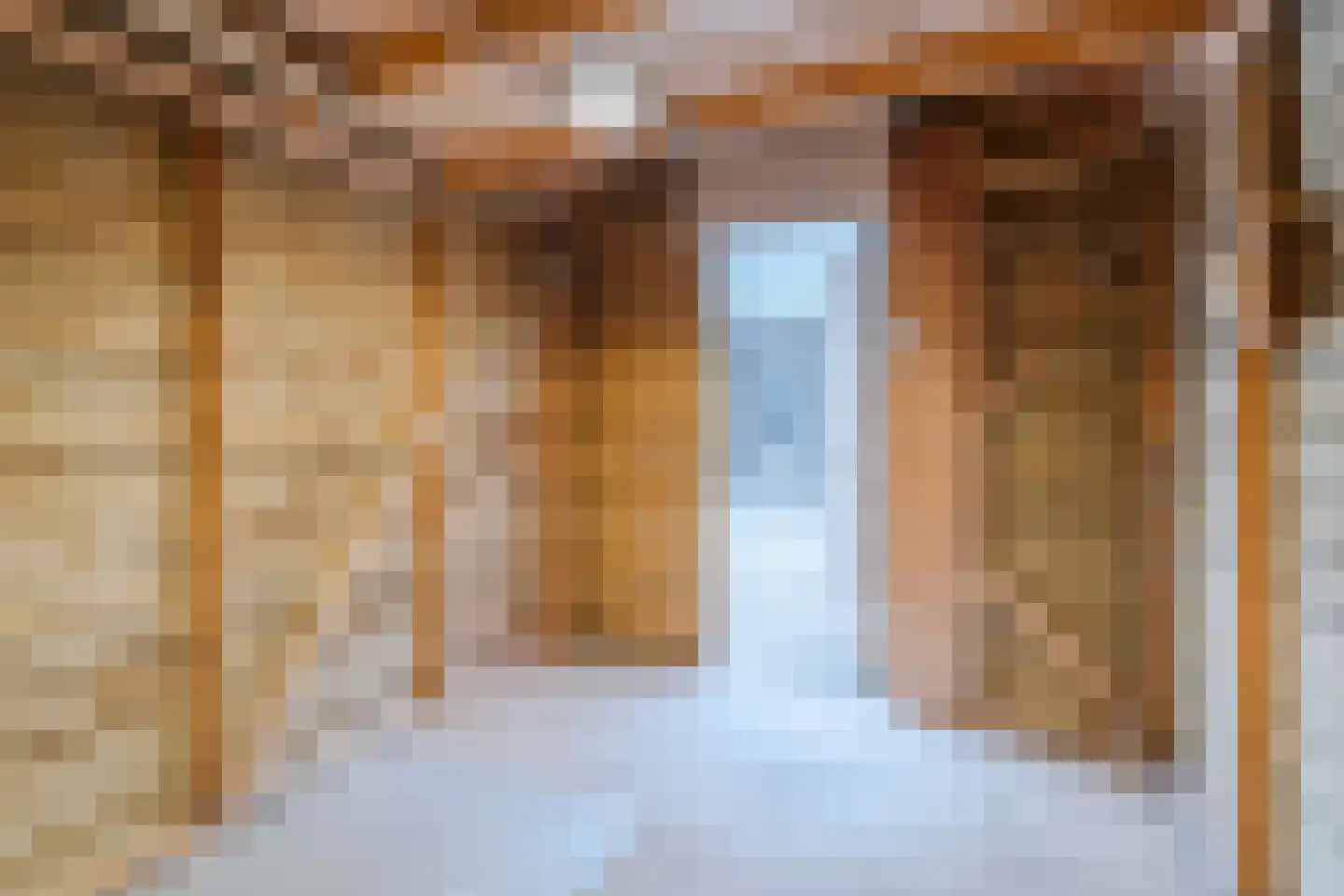 Van Rijnesteinlaan 11 Renswoude thumbnail 45